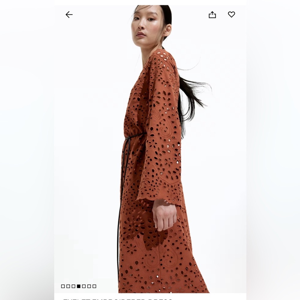 H&M Brown Long Sleeve Eyelet Dress - Picture 5 of 10